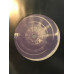 Smart Alec & Clevor Cloggs - Purple Boy Smart Alec & Clevor Cloggs - Purple Boy