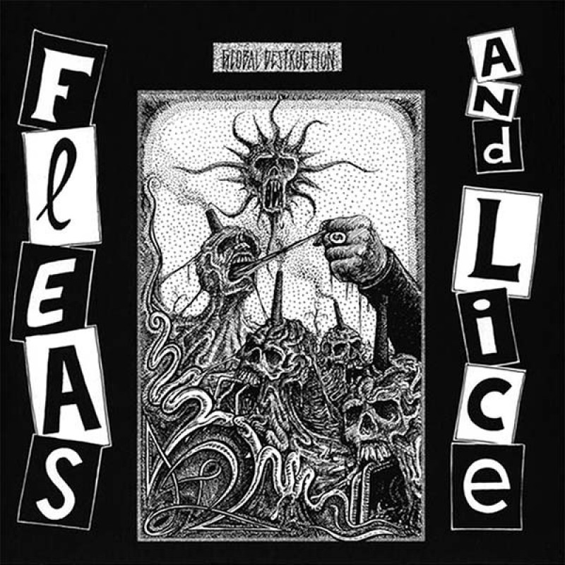 Fleas And Lice – Global Destruction Fleas And Lice – Global Destruction